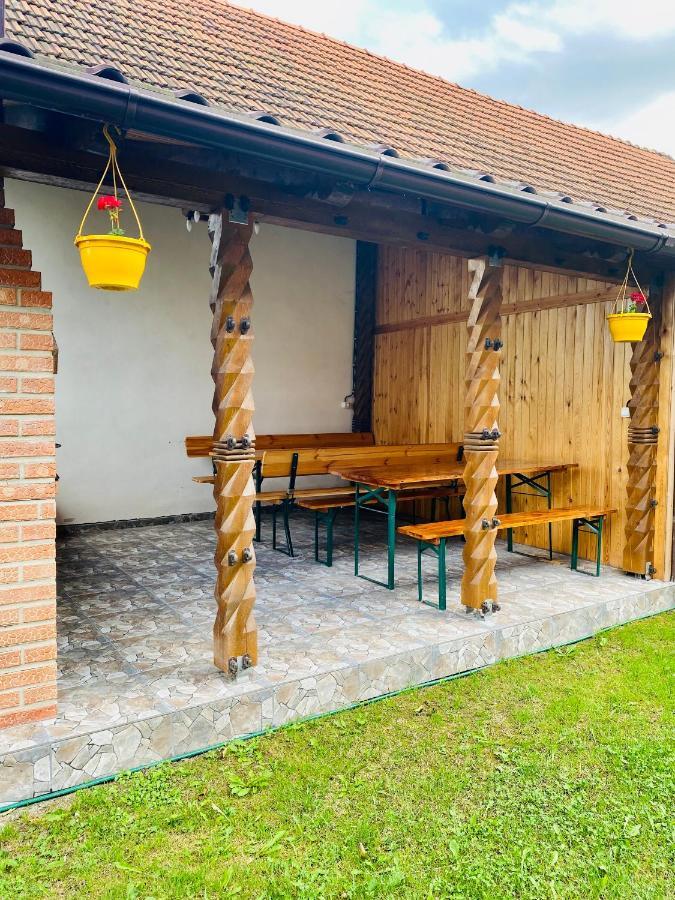 Casa Victoria Hotel Cârțișoara Exterior photo