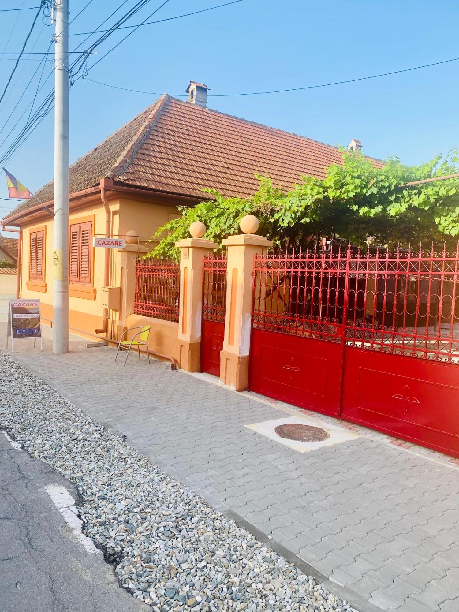 Casa Victoria Hotel Cârțișoara Exterior photo