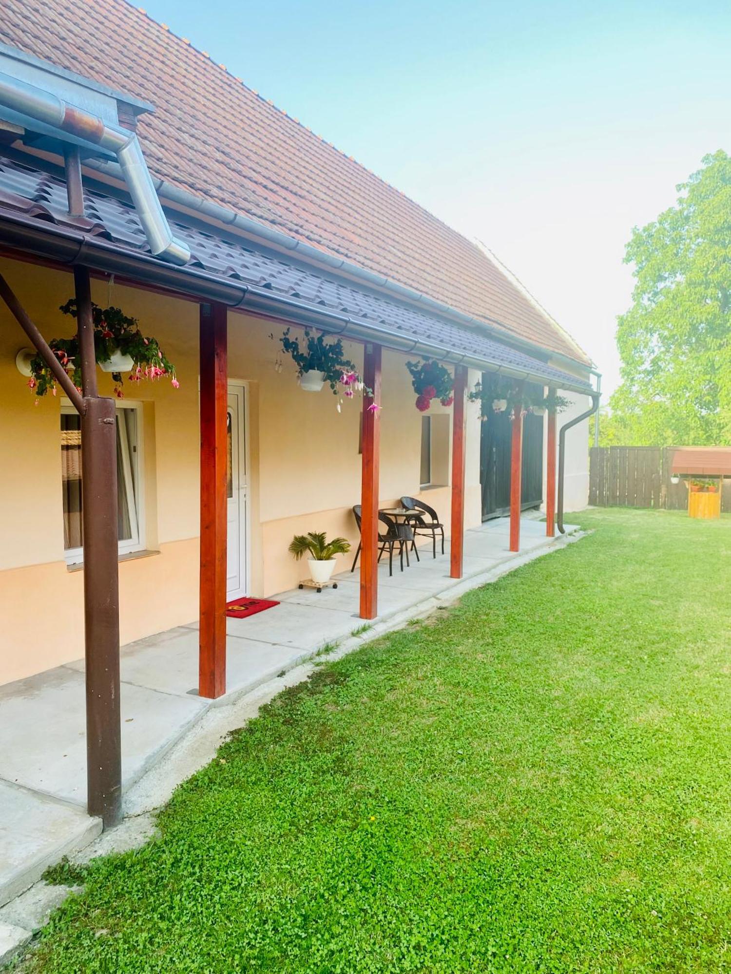 Casa Victoria Hotel Cârțișoara Exterior photo